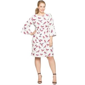 Draper James White & Hot Pink Chickadee Bird Knee Length Dress. Plus Size 24